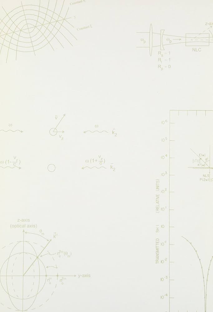 光と物質の相互作用 外部場の中の原子・分子の挙動および非線形光学  /エヌ・ティ-・エス/ウェンデル・Ｔ．ヒル（単行本） Amazon.co.jp: 光と物質の相互作用: 外部場の中の原子・分子の
